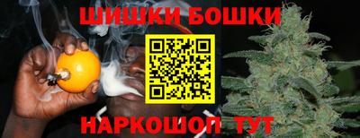 индика Кунгур