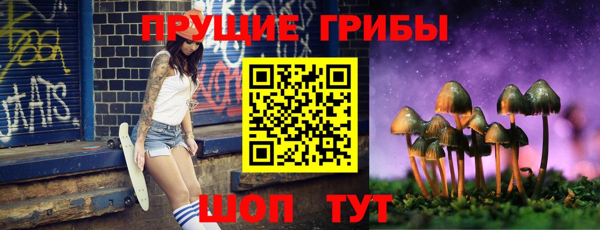 Псилоцибиновые грибы прущие грибы  Вход с VPN  Галлюциногенные грибы прущие грибы  Десногорск 