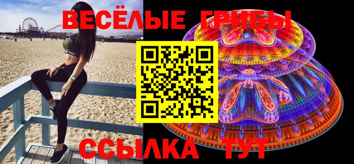 Псилоцибиновые грибы GOLDEN TEACHER Десногорск