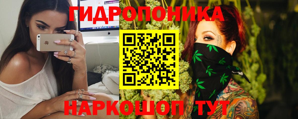 МАРИХУАНА Bruce Banner  Шишки марихуана Bruce Banner  Вход с VPN  Десногорск  Каннабис THC 21%  Бошки марихуана семена 